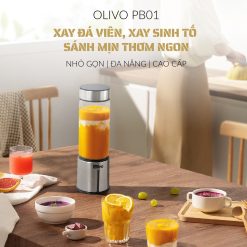 Máy Xay Sinh Tố Cầm Tay OLIVO PB01 1