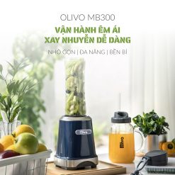 Máy xay sinh tố OLIVO MB300 1