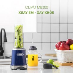 Máy xay sinh tố OLIVO MB300 6