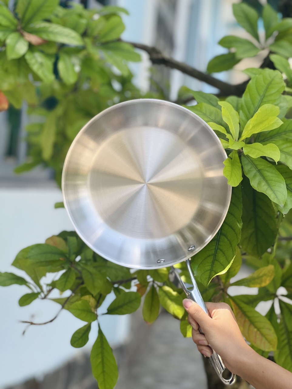 Rán đậu, rán trứng bằng chảo OLIVO STEVE X