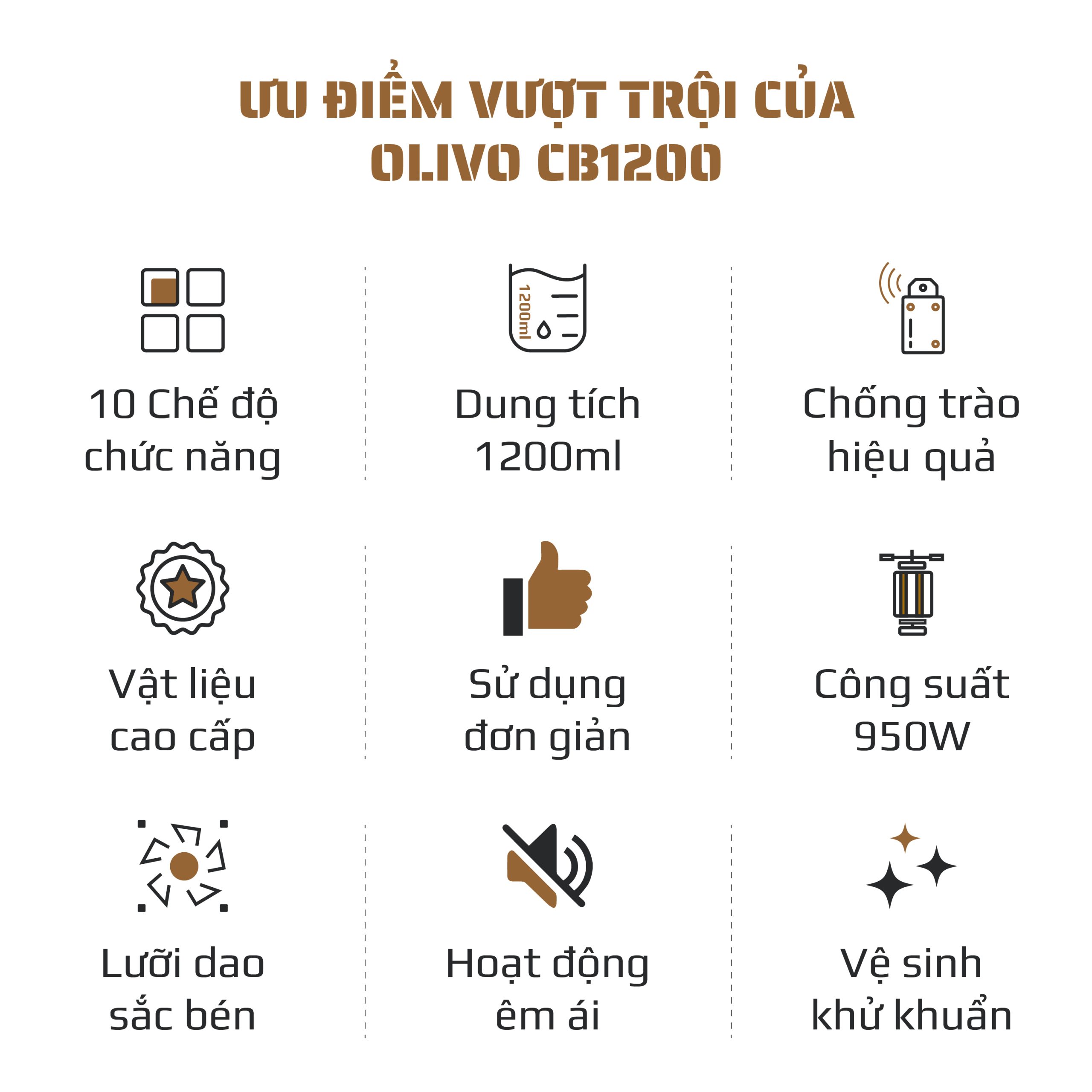 CB1200 VUONG-02